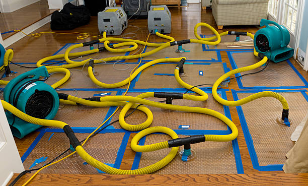 Professional Water Damage Repair technician working in Peru, ME